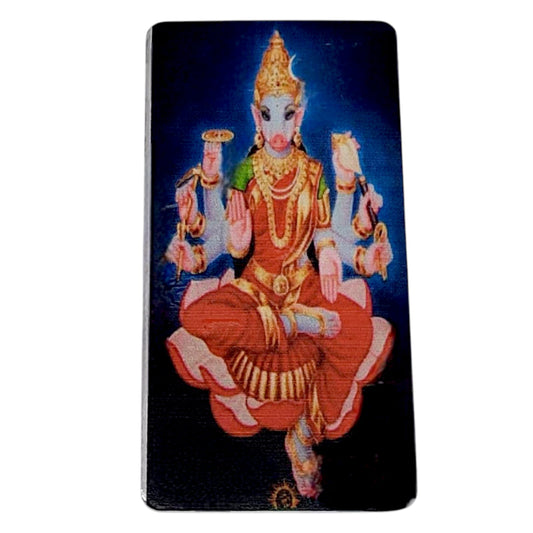 20g Varahi Mata Silver Bar